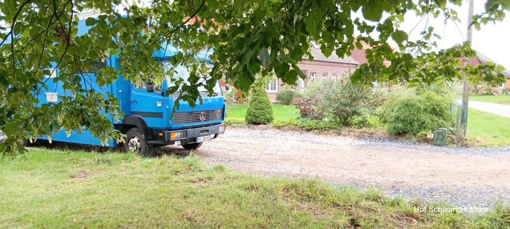 Am Rand der Obstbaumwiese