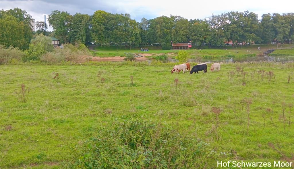 Das ist doch ein Ausblick