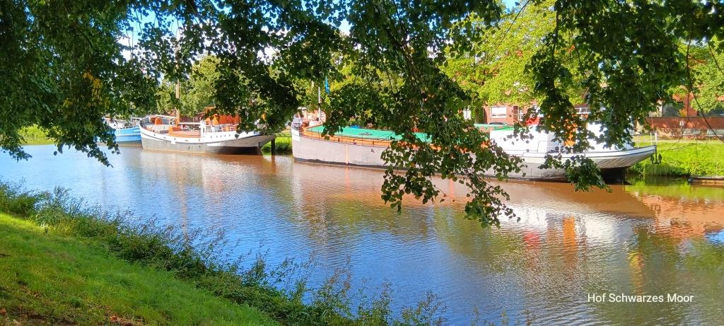 Im Kanal vor dem Schifffahrtsmuseum