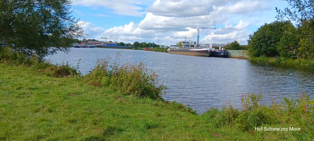 Blick in Hafen mit Werft im Hintergrund