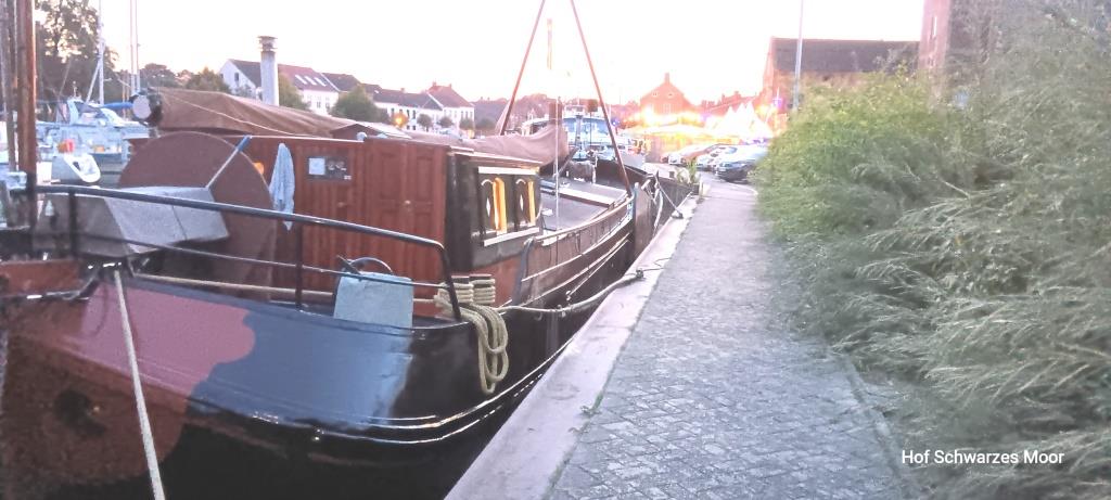 Viele Schiffe stehen hier gerade zum Verkauf