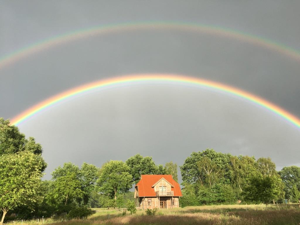 Selten, aber wunderschön