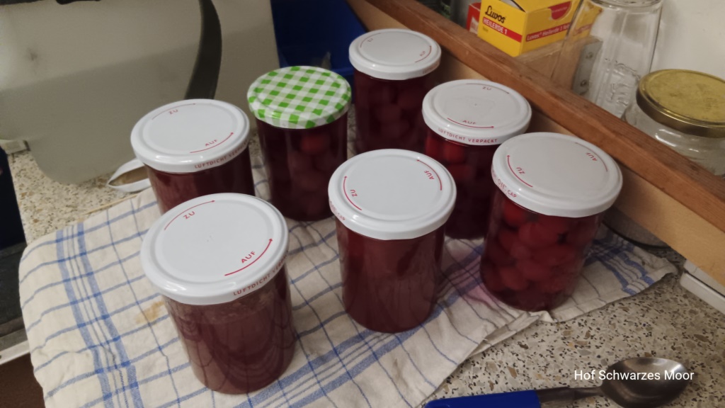 Mirabellen - sind so viele, musste ich Fruchtaufstrich von machen