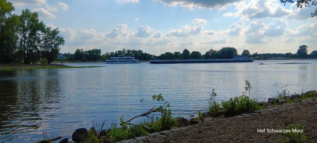 Die Sieg mündet in den Rhein